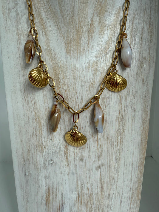 Sea shells